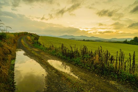 Sunset view with meadow in Hokkaido. Shooting Location: Hokkaido Biei-cho