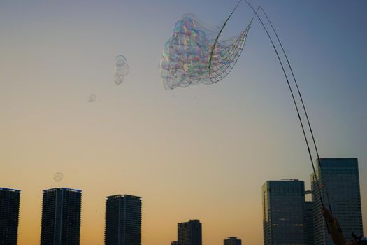 Soap bubbles and evening scenery (Tokyo Toyosu). Shooting Location: Tokyo metropolitan area