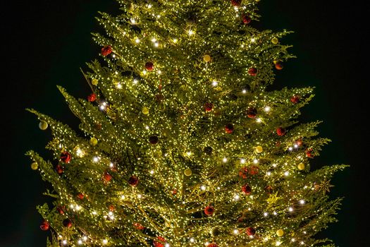 Picapiki Glowing Christmas Tree (Christmas Market). Shooting Location: Yokohama-city kanagawa prefecture