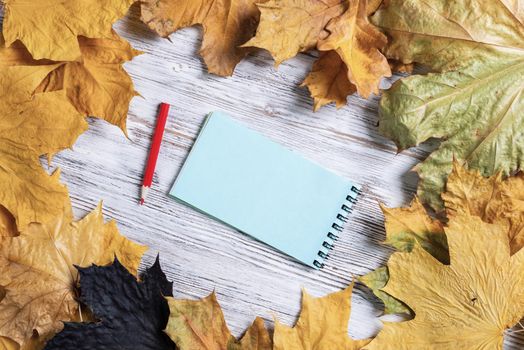 Spiral notepad and pen lies on vintage wooden desk with bright foliage. Flat lay composition with autumn leaves on white wooden surface. Day planning and relaxation. Blank notepaper with copy space