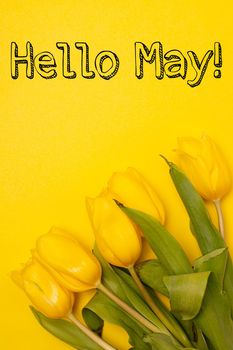 Banner hello May . Tulips on a yellow background. An article about the new month. An article about spring. Photos of flowers with text. Greeting card