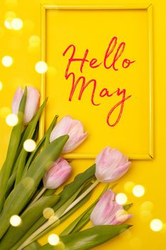 Banner hello May . Tulips on a yellow background. An article about the new month. An article about spring. Photos of flowers with text. Greeting card