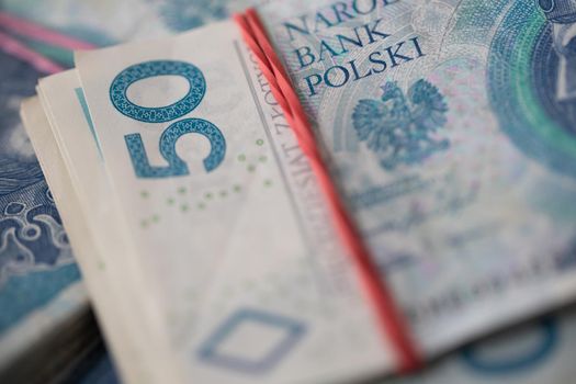 A thick bundle of paper money compressed with a red rubber band. Polish national paper cash.
