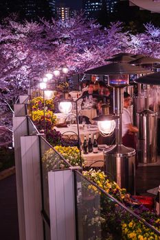 Restaurant wrapped in cherry blossoms. Shooting Location: Tokyo metropolitan area