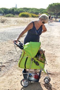CAP D'AGDE, FRANCE - JULY 24, 2016: Woman with a stroller for pets.Yorkshire terrier in a wheelchair at Cap d'Agde, France.