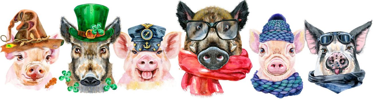 Cute border from watercolor portraits of pigs. Watercolor illustration of pigs in winter hat, glasses and scarf, witch hat, Saint Patrick's hat with clover leaves