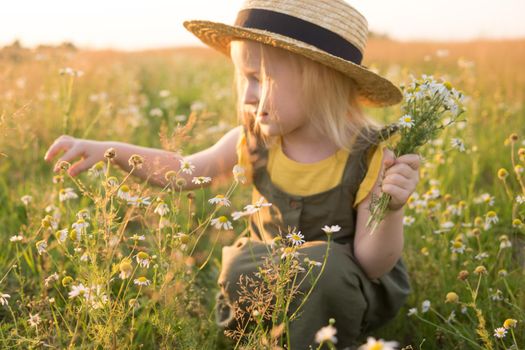 A little blonde girl in a straw hat walks in a field with a bouquet of daisies. The concept of walking in nature, freedom and an eco-friendly lifestyle.