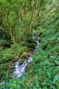 Long exposure of small wild mountain waterfall. Stunning landscape of wilderness and pure nature. San Gerardo de Dota, Costa Rica.