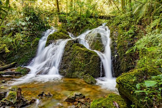 Long exposure of small wild mountain waterfall. Stunning landscape of wilderness and pure nature. San Gerardo de Dota, Costa Rica.