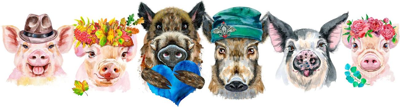 Cute border from watercolor portraits of pigs. Watercolor illustration of pigs in wreath of autumn leaves, wreath of peonies, beanie, brown hat, with blue heart