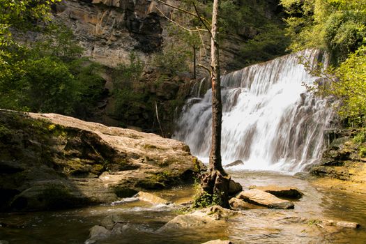 Waterfall and a tree in a landscape in a place close to Rupit town in Catalonia