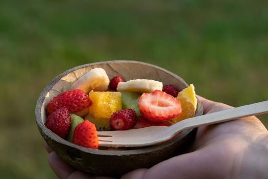 Fruit salad in a natural bowl of half a coconut shell in a female hand on a background of green grass.
