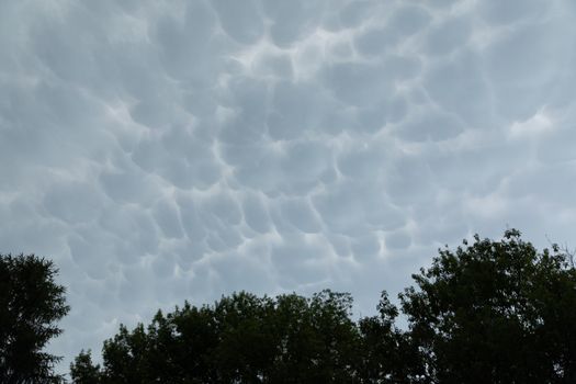 Above the leafy trees, the sky is streaked with clouds clumped together in irregular bubbles before the inevitable storm.