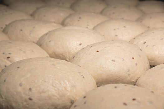 Raw burger buns dough on a metal baking sheet. Preparing ingredients for burgers.