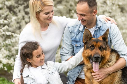 Family with small daughter and dog walking outdoors in orchard in spring.