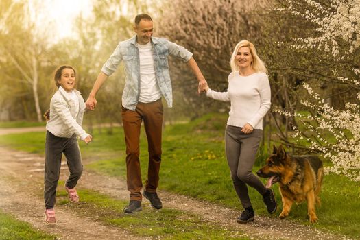 Family with small child and dog outdoors in orchard in spring