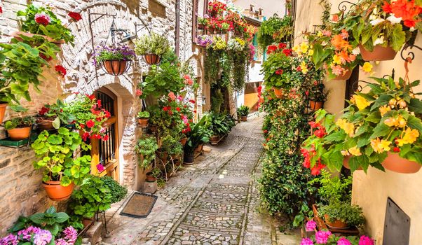 Spello, Italy - Circa June 2021: flowers in ancient street. Spello is located in Umbria region, Italy.