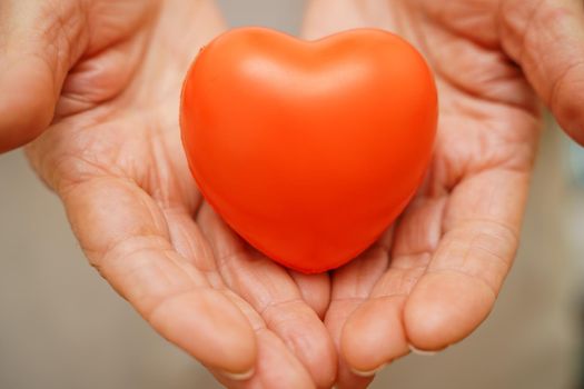 Hands holding red heart, healthcare, love, organ donation, mindfulness, wellbeing, family insurance and CSR concept, world heart day, world health day, national organ donor day.