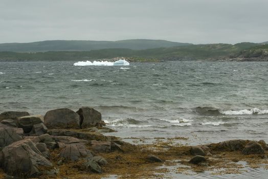 An iceberg melts in a bay in Newfoundland