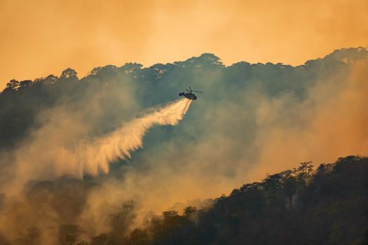 Fire fighting helicopter dropping water on forest fire