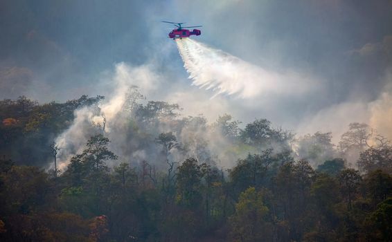 Fire fighting helicopter dropping water on forest fire