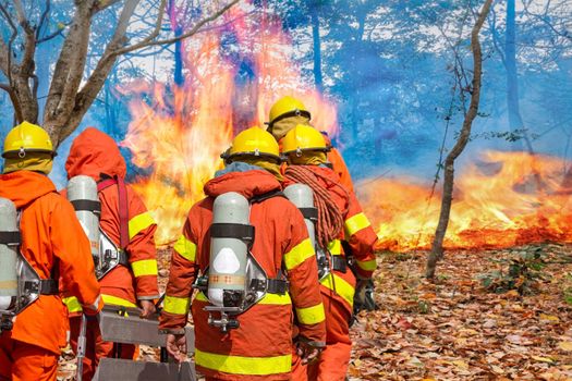 firefighters preparing equipment in forest