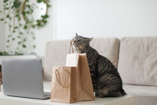 A gray tabby cat looking at brown paper bags at home. craft shopping package. Delivery, Shopping concept, environmental protection, zero waste.
