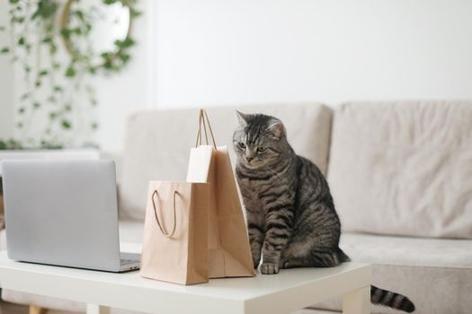 A gray tabby cat looking at brown paper bags at home. craft shopping package. Delivery, Shopping concept, environmental protection, zero waste.