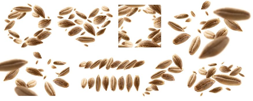 A set of photos. Rye grains levitate on a white background.