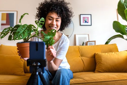 African American influencer recording vlog at home. Hispanic woman live streaming shows followers a plant. Copy space. Technology concept.