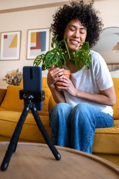 Happy African American influencer recording video vlog at home. Hispanic woman live streaming showing followers a plant. Vertical image. Lifestyle concept.