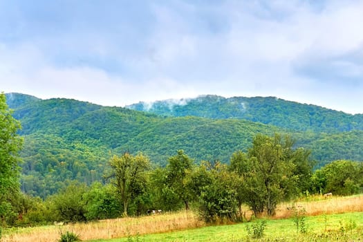 a large natural elevation of the earth's surface rising abruptly from the surrounding level a large steep hill.Mountain rural landscape with fruit trees in a haze of clouds.