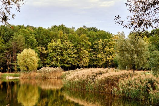 Autumn is the most colorful time of the year from all seasons, when nature changes its usual appearance to golden colors in glimpses of autumn sun.Autumn consists of September, October and November