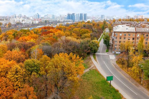 Bright orange foliage of the city park in the autumn cityscape, in the background the city in the daytime blue haze, bird's-eye view.
