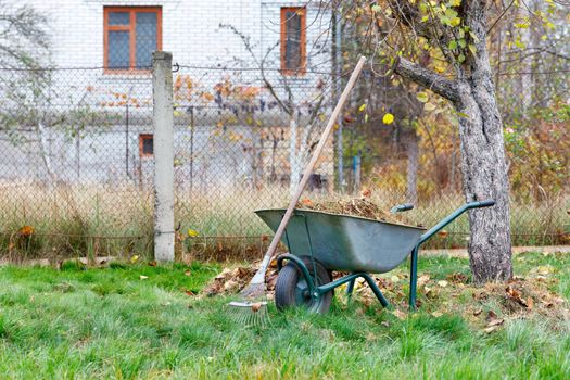 Maintenance of a green lawn in the autumn garden, garden tools, a wheelbarrow with a metal rake with collected fallen leaves and dry grass against the background of a brick house in blur, copy space.