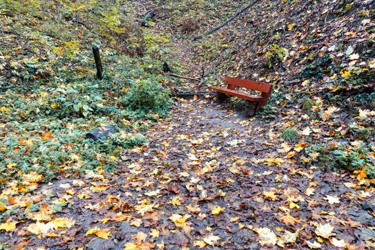 On a forest path strewn with fallen leaves, stands an old, roughly knocked down brown wooden bench for rest.