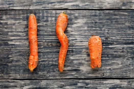 Trendy ugly organic carrots from the garden on a old gray wooden table. Top view, copy space, close-up.