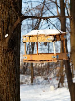 A bird feeder made from leftover building materials hangs on a tree branch in a winter forest against a blurred background of bush and sunlight.