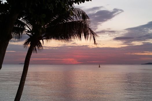 Silhouette coconut palm tree on sea and sunset sky background.