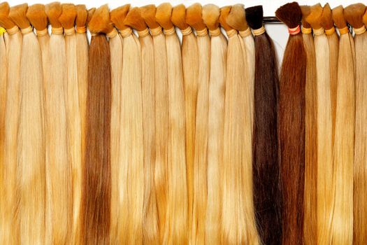 Bundles of natural long healthy human hair of wheat shades, chocolate, brown. Hair care concept, women beauty style.