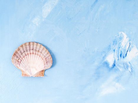 Single big seashell on blue stone background scallop shell, copy space. Minimalistic summer concept of holiday by the sea