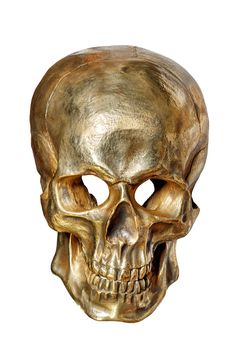 The skeleton of a human skull is painted with gold paint, front view, on a white background close-up.