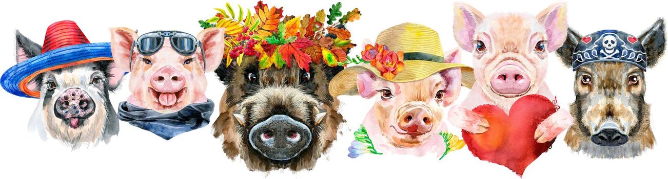 Cute border from watercolor portraits of pigs. Watercolor illustration of pigs in wreath of autumn leaves, glasses, sombrero, summer hat, bandana, with red heart