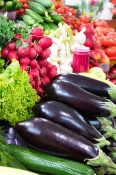 Dark purple black eggplants against juicy lettuce, dill, parsley, red radishes, bell peppers and cucumbers in blur on the market counter for sale.