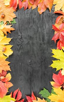 Bright fall leaves and acorns frame the black old wood surface with copy space.