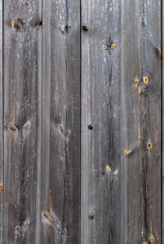 Weathered vintage gray wood fence with expressive texture, nailed down with wooden nails, vertical image, close-up.