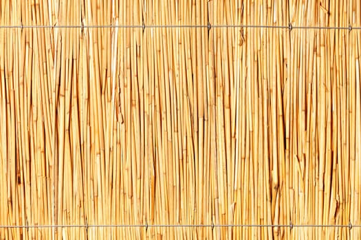 A reed wall with a bright texture and a light yellow background, tied with steel wire. High resolution, close-up.