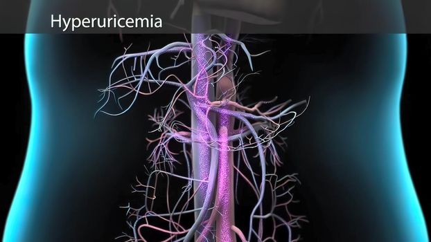 Under normal conditions, the body can meet the lost fluid and electrolyte balance with food and water consumption. 3D illustration