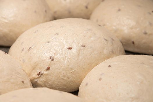 Raw burger buns dough on a metal baking sheet. Preparing ingredients for burgers.