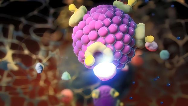 Ion channels in epithelial cells serve to move ions, and in some cases fluid, between compartments of the body. 3D illustration